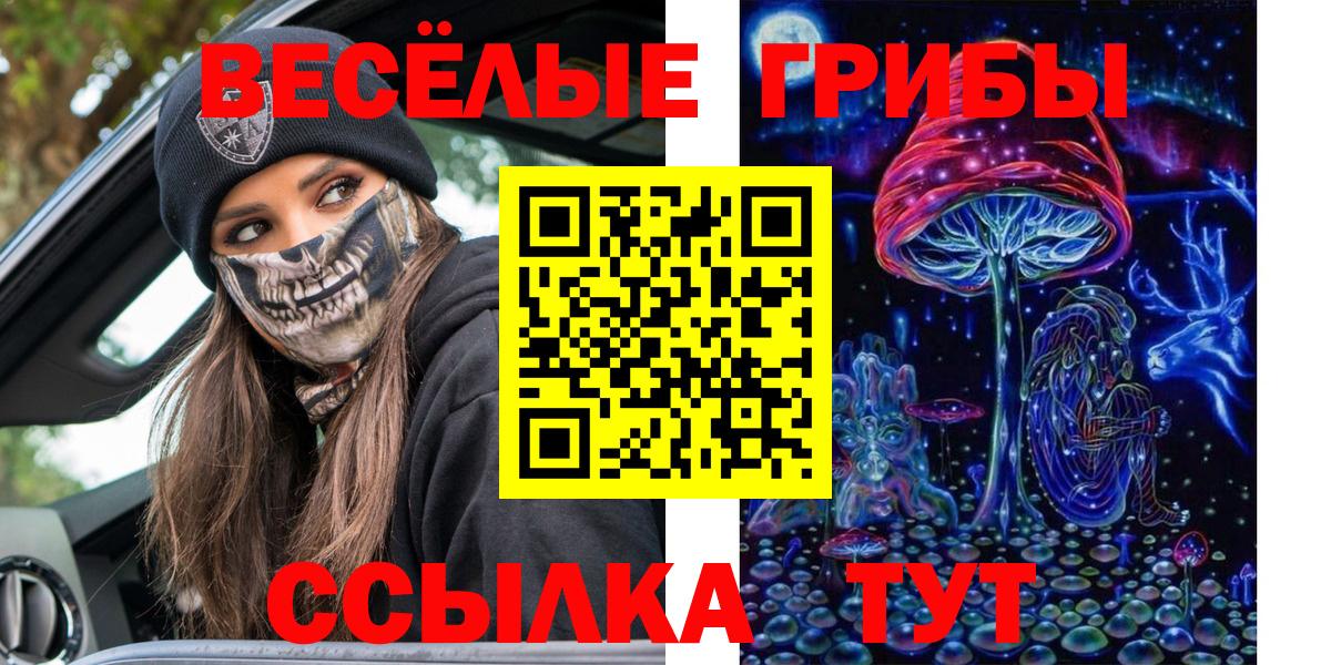 Псилоцибиновые грибы Psilocybe Зерноград