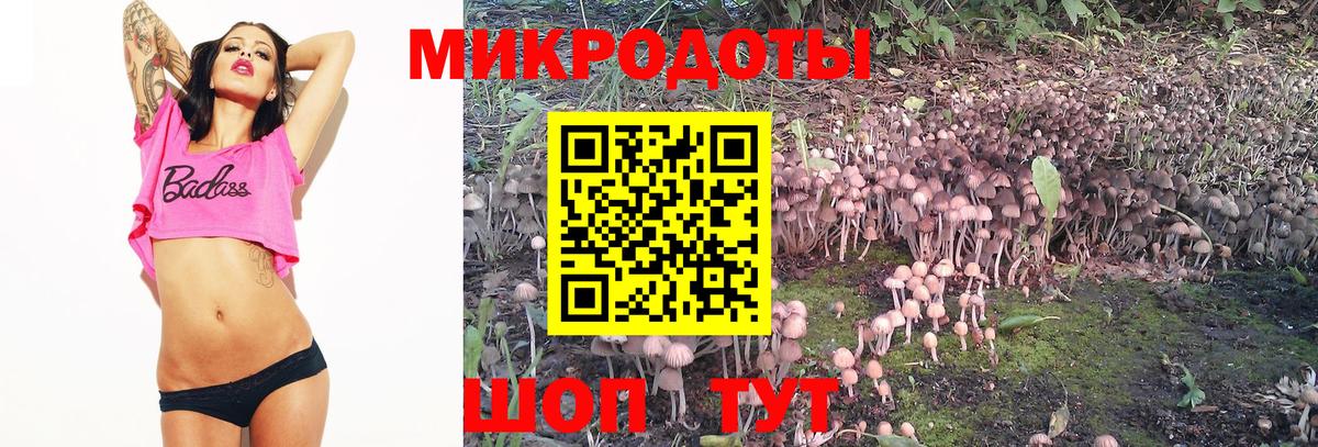 Псилоцибиновые грибы мухоморы  Вход с VPN  Зерноград  Галлюциногенные грибы GOLDEN TEACHER 